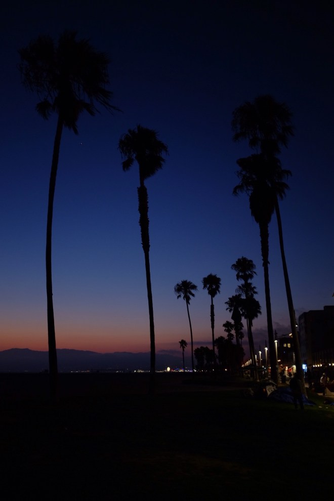 36616039481_f1749df8d8_o