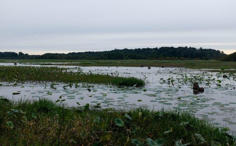 Noxubee Wildlife Reserve